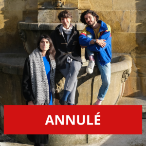 ANNULÉ - Au fil de la traduction poétique - lecture bilingue et commentée de trois célèbres auteures anglophones du XXe siècle