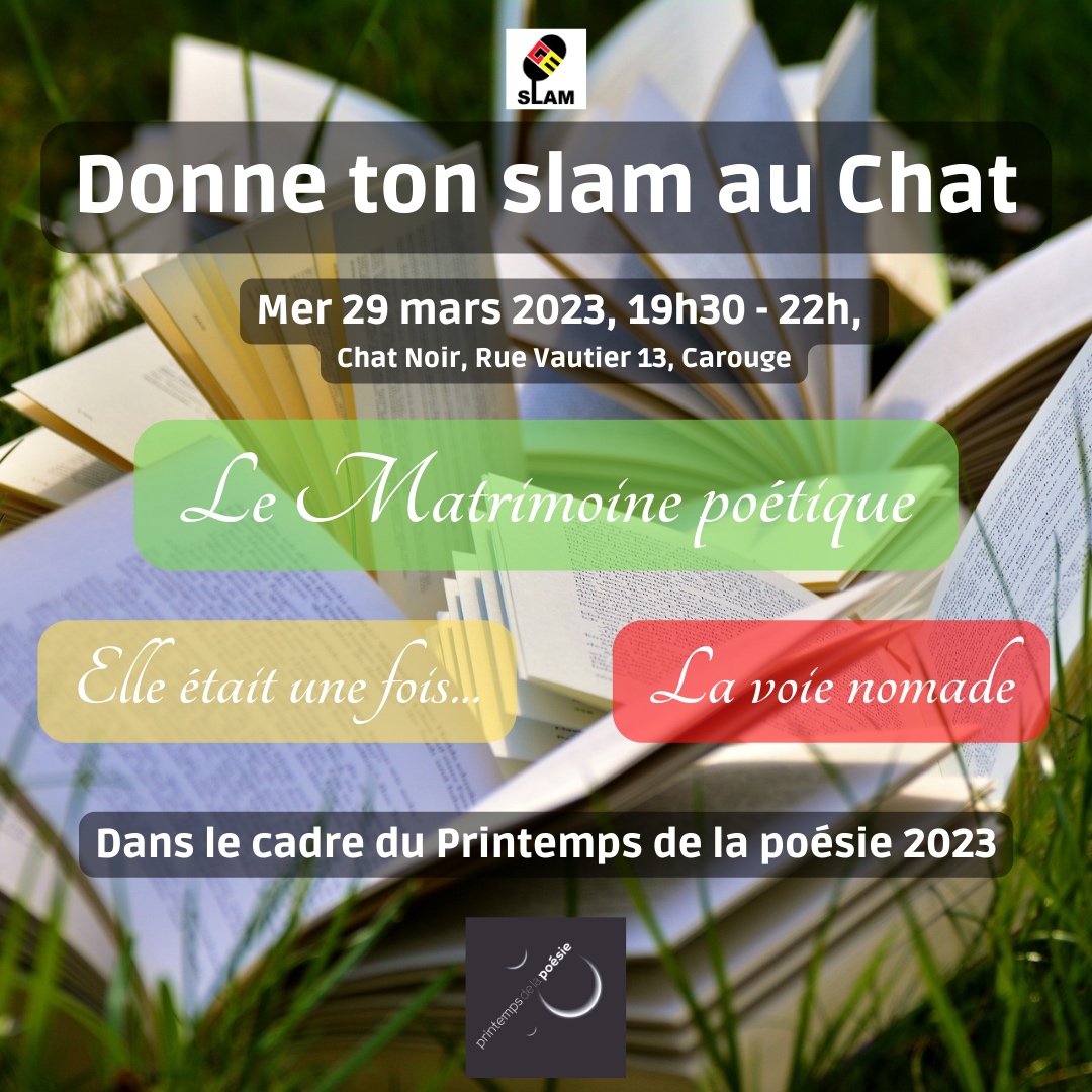 You are currently viewing Donne ton slam au Chat !